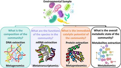 Clean and Safe Drinking Water Systems via Metagenomics Data and Artificial Intelligence: State-of-the-Art and Future Perspective